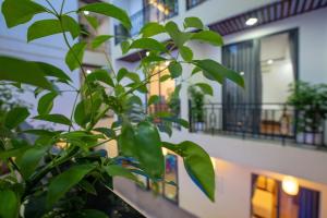 zielona roślina przed budynkiem w obiekcie Hoi An Paradise Villa w Hoi An