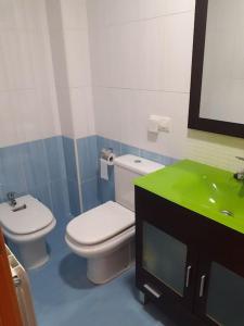 een badkamer met een toilet en een wastafel bij El pisito de Irene in Béjar