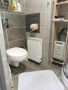 La petite salle de bains est pourvue de toilettes et d'un lavabo. dans l'établissement Appartement Edelweiss Chamrousse vue sur Recoin La Croix de Chamrousse Grenoble, à Chamrousse