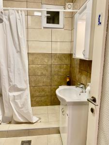 a bathroom with a sink and a shower curtain at Star apartment in Belgrade