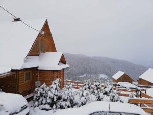 Obiekt Chata z widokiem na Babią Górę zimą