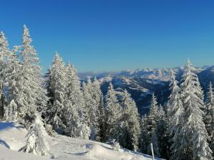 Farnreit durante l'inverno
