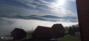Przyroda w pobliżu tego domu wakacyjnego