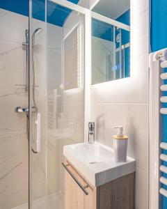 uma casa de banho com um lavatório e um chuveiro em Petit nid douillet - Welc'Home em Limoges