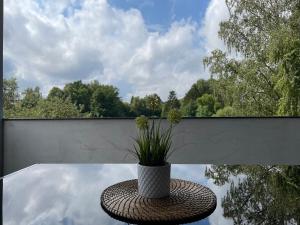 eine Topfpflanze auf einem Tisch auf einer Terrasse in der Unterkunft Ferienhaus Simon in Wadern