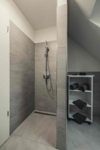 a bathroom with a shower and a walk in shower at Ferienwohnungen und Boardinghouse Heimbach in Renchen in Renchen +125 photos