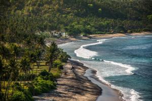 an aerial view of a beach with palm trees at Living Asia Resort and Spa in Senggigi
