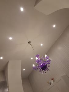 - un lustre violet suspendu au plafond dans une pièce dans l'établissement Metropolis Stazione Centrale, à Naples