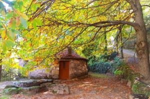um pequeno edifício de pedra debaixo de uma árvore com folhas no chão em Chozos Rurales El Solitario em Baños de Montemayor