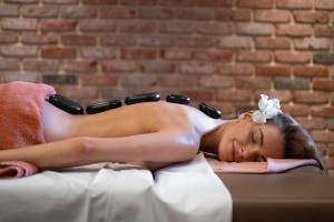Wellness Hotel Volarik 투숙객