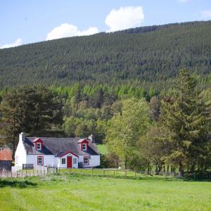 una casa en un campo con una montaña en el fondo en The Croft Cottage - near Aviemore en Aviemore