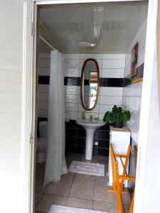 uma casa de banho com um lavatório e um espelho em Chez Framboise em Salazie