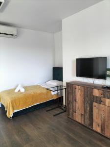 TV a/nebo společenská místnost v ubytování Hotel Świt