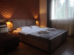 Katil atau katil-katil dalam bilik di Hotel Bereg