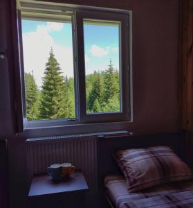 a room with a bed and two windows with trees at House Bozovic in Žabljak