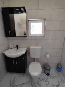 ein Badezimmer mit einem WC, einem Waschbecken und einem Spiegel in der Unterkunft House Bozovic in Žabljak