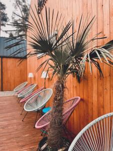 a group of chairs and a palm tree next to a fence at 2 STODOŁY Chillout in Dziwnów