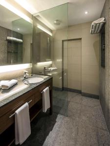 a bathroom with a sink and a mirror and a shower at Hyatt Place Hampi in Hampi