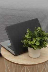 a laptop computer sitting on a table with a potted plant at Metro Bielany Apartments with Parking by Renters in Warsaw