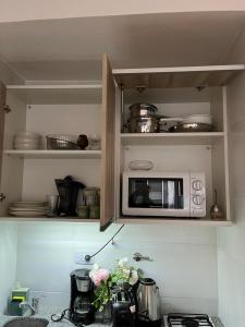 una cocina con microondas y flores en una encimera en Refugio cómodo y luminoso. Excelente ubicación. en Buenos Aires