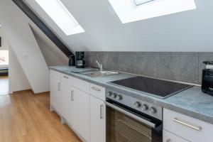Kuchyň nebo kuchyňský kout v ubytování Rust Appartements