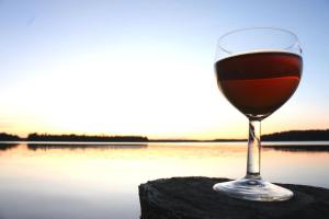 a glass of wine sitting on a rock near a body of water at Niemi-Kapee Mansikka - Cozy cottage by the lake in Terälahti
