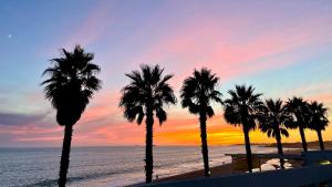 a group of palm trees on a beach with a sunset at Sunny apartament at Carcavelos Beach, by TimeCooler in Carcavelos +56 photos