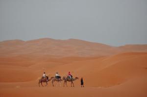 a group of people riding horses in the desert at Riad Moha in Merzouga