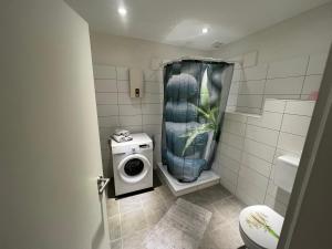 łazienka z toaletą i pralką w obiekcie FW am Park 1 w mieście Holzminden