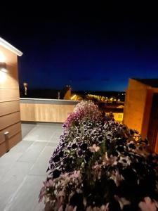 a planter on the roof of a building with flowers at El Roble 9 in Astorga