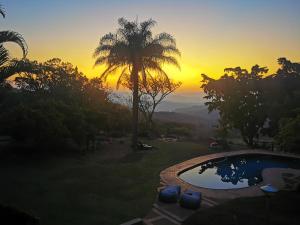 a sunset with a palm tree and a swimming pool at The Homestay in Nelspruit