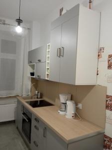 Kuchyň nebo kuchyňský kout v ubytování Apartament Rydygiera