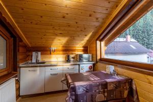 Kuchyň nebo kuchyňský kout v ubytování Arnika Hotel