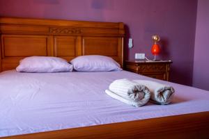 Posteľ alebo postele v izbe v ubytovaní Duque Nest Hostel