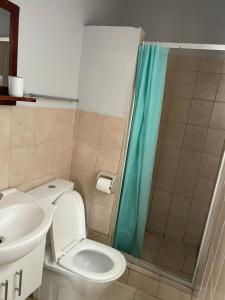 a bathroom with a toilet and a sink and a shower at amazing grace guesthouse in East London
