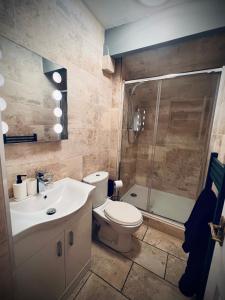 a bathroom with a toilet and a sink and a shower at Ashleigh House in Carlisle