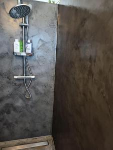 La salle de bains est pourvue d'une douche avec un pommeau de douche. dans l'établissement Loft, parking privé, terrasse, entrée indépendante, à Liège