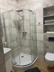 prysznic ze szklaną obudową w łazience w obiekcie Apartamenty Mikubo Wrocław we Wrocławiu