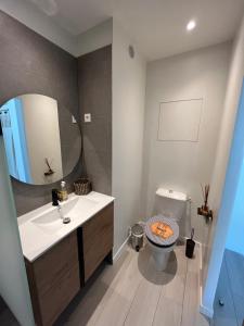 a bathroom with a sink and a toilet and a mirror at La vie est belle à Saint Martin in Anse Marcel 