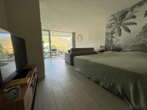 a bedroom with a bed and a couch and a television at La vie est belle à Saint Martin in Anse Marcel 