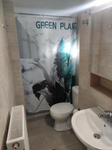 a bathroom with a white toilet and a green plant at GCM 2 ROOMS kentro in Katerini