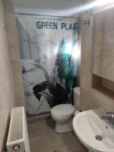 Koupelna v ubytování GCM 2 ROOMS kentro
