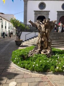 Fotografie z fotogalerie ubytování Viviendas vacacionales San Mateo v destinaci Vega de San Mateo