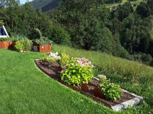 A garden outside Loretz Luzia