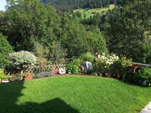 A garden outside Loretz Luzia