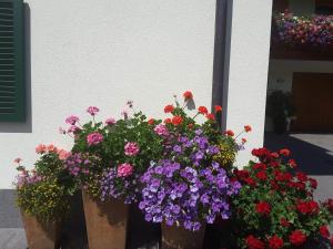 A garden outside Loretz Luzia