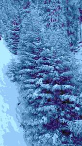 Loretz Luzia during the winter
