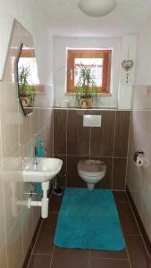 La salle de bains est pourvue de toilettes et d'un lavabo. dans l'établissement Loretz Luzia, à Silbertal