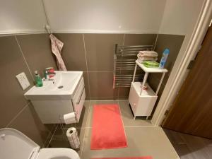 ein Badezimmer mit einem Waschbecken und einem WC mit einem roten Teppich in der Unterkunft 1+1 Modern flat next to Sutton train station in Sutton + 10 Fotos
