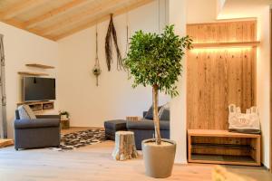 a living room with a potted tree and a tv at SchartnerAlm in Collalbo